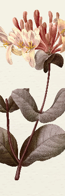 Fabric roller blind for window Falling flower