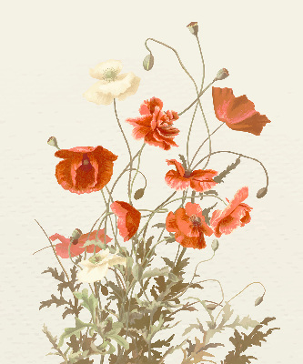 Blackout roller blind Poppies