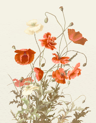 Blackout roller blind Poppies