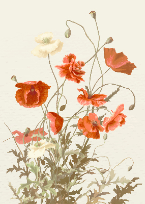 Blackout roller blind Poppies