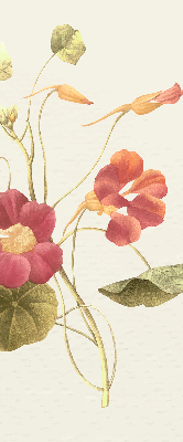 Blackout roller blind for window Flower