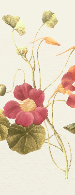 Blackout roller blind for window Flower