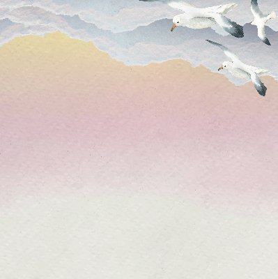 Blackout roller blind Flying birds
