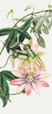 Blackout roller blind Pink flower