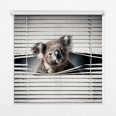 Blackout roller blind Koala
