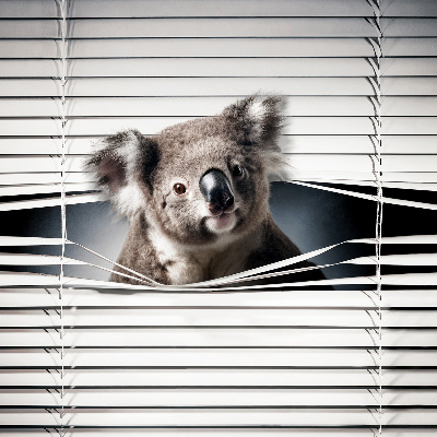 Blackout roller blind Koala