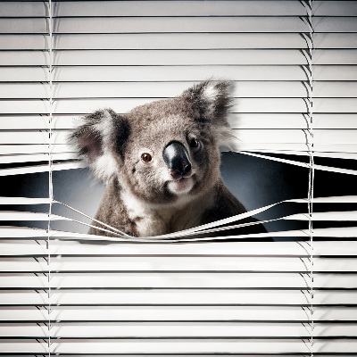 Blackout roller blind Koala