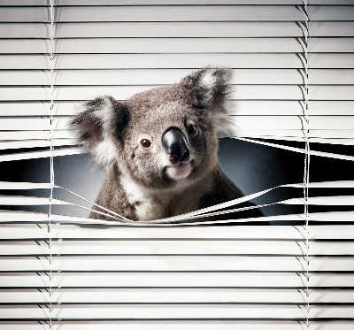 Blackout roller blind Koala