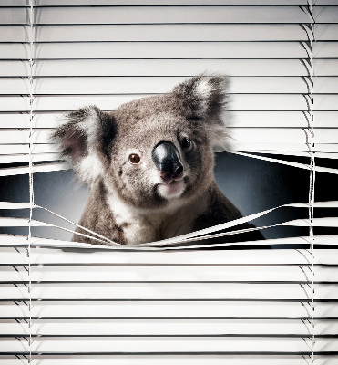Blackout roller blind Koala
