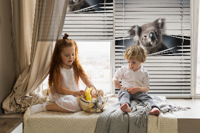 Blackout roller blind Koala
