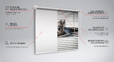 Blackout roller blind Koala