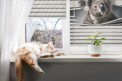 Blackout roller blind Koala