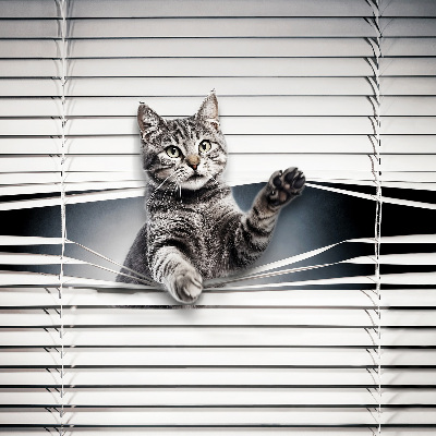 Blackout roller blind for window Cat