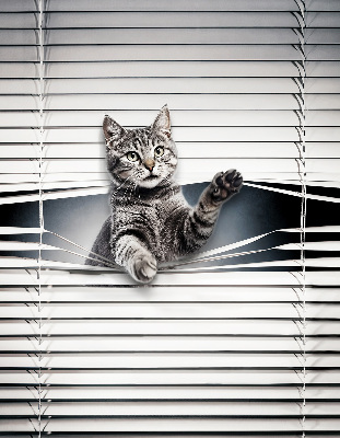 Blackout roller blind for window Cat