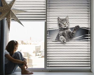 Blackout roller blind for window Cat