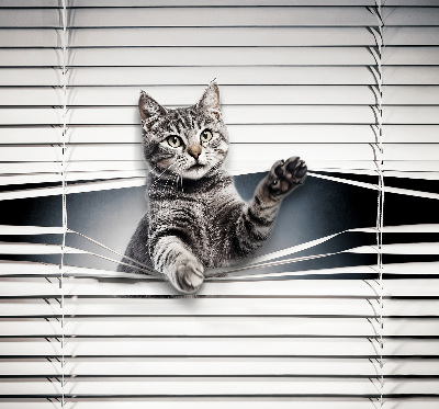Blackout roller blind for window Cat