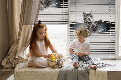 Blackout roller blind for window Cat