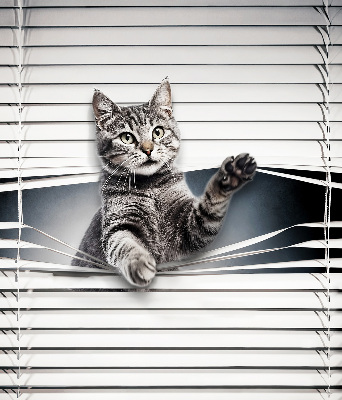 Blackout roller blind for window Cat