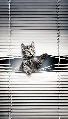 Blackout roller blind for window Cat