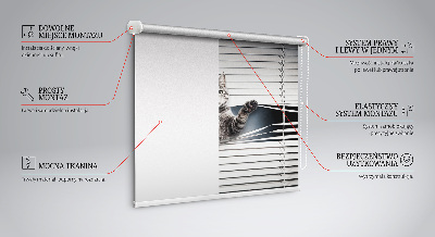 Blackout roller blind for window Cat