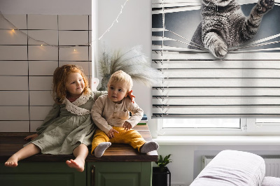Blackout roller blind for window Cat