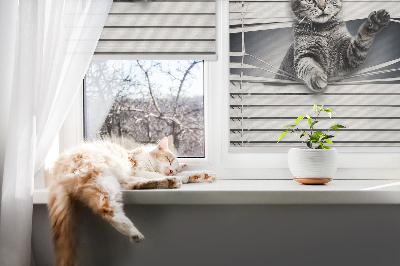 Blackout roller blind for window Cat