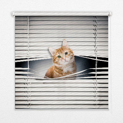 Fabric roller blind for window Ginger cat
