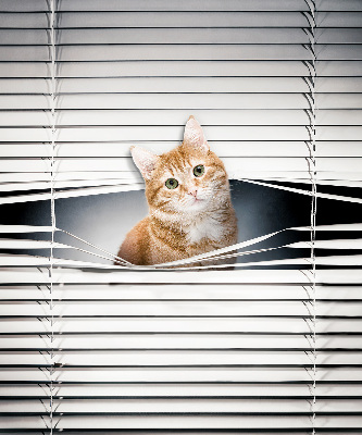 Fabric roller blind for window Ginger cat