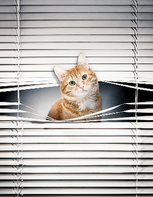 Fabric roller blind for window Ginger cat