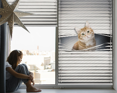 Fabric roller blind for window Ginger cat