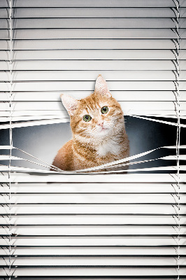 Fabric roller blind for window Ginger cat