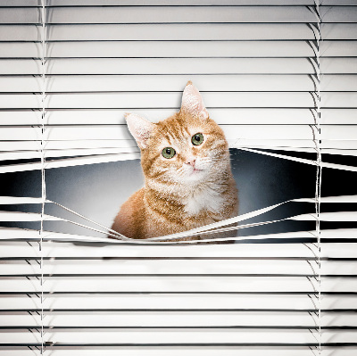 Fabric roller blind for window Ginger cat