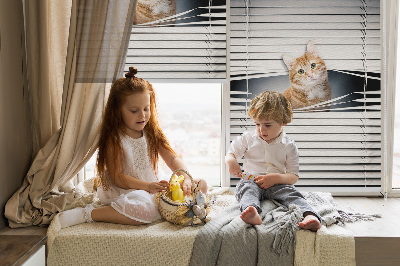 Fabric roller blind for window Ginger cat