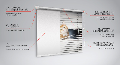 Fabric roller blind for window Ginger cat