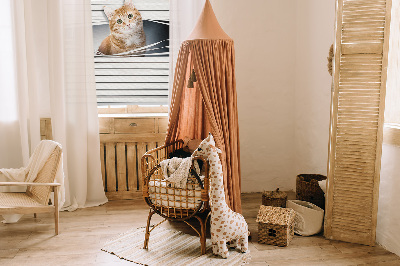 Fabric roller blind for window Ginger cat