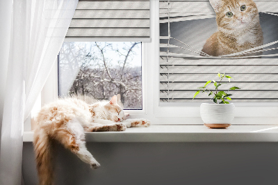 Fabric roller blind for window Ginger cat