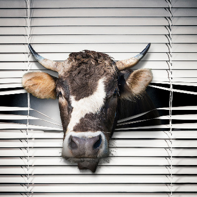Blackout roller blind Cow