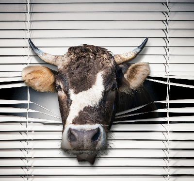 Blackout roller blind Cow