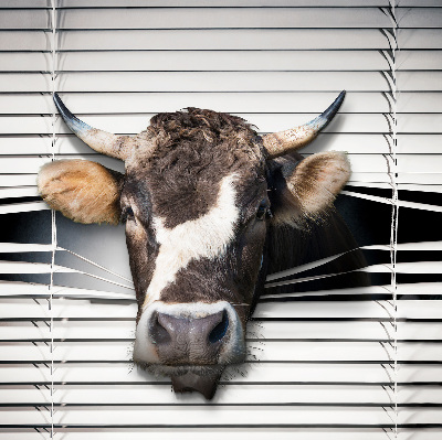 Blackout roller blind Cow
