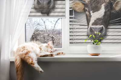 Blackout roller blind Cow