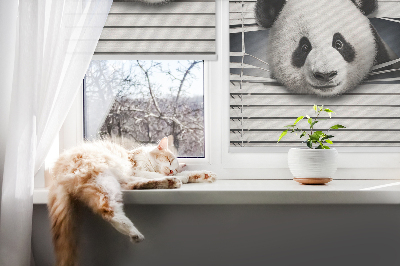 Blackout roller blind for window Panda