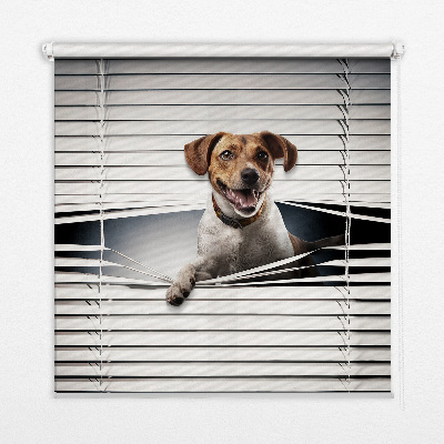 Fabric roller blind for window Dog