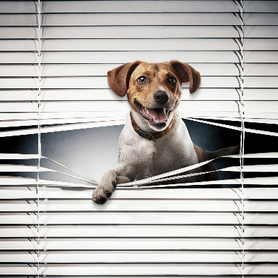 Fabric roller blind for window Dog
