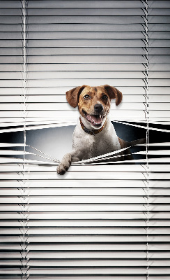 Fabric roller blind for window Dog