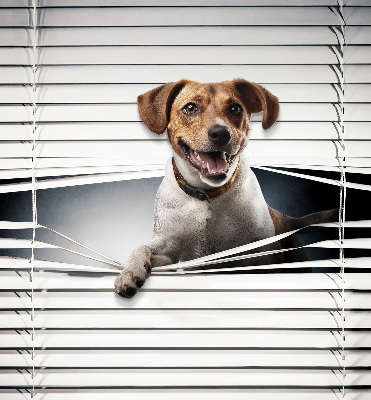 Fabric roller blind for window Dog