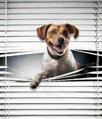 Fabric roller blind for window Dog