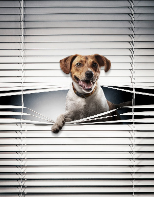 Fabric roller blind for window Dog