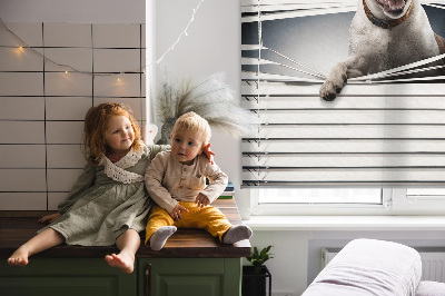 Fabric roller blind for window Dog