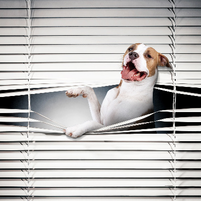 Blackout roller blind Dog