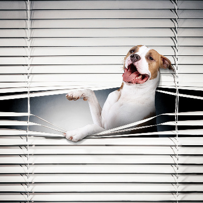 Blackout roller blind Dog